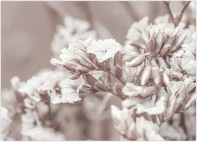 Tablou - Detaliu crenguță (70x50 cm)