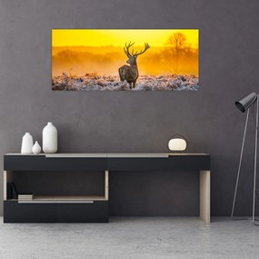 Tablou - Cerb la răsăritul soarelui (120x50 cm)