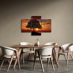 Tablou cu pomi și apus de soare (90x60 cm)