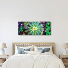 Tablou cu cactus (120x50 cm)