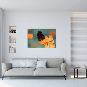 Tablou - fluture pe o floare portocalie (90x60 cm)