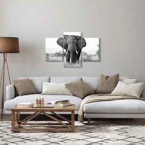 Tablou - Elefantul african II. (90x60 cm)