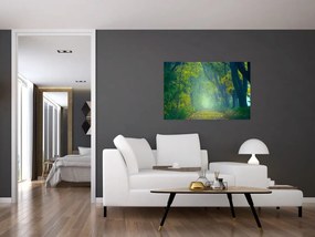 Tablou cu drum dea lungul cu copaci (90x60 cm)