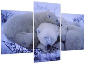 Tablou - Urși polari (90x60 cm)