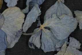 Fototapet, Fragile Beauty, Dark Blue, Rebel Walls