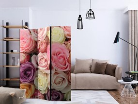 Paravan - Pastel roses [Room Dividers]