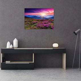 Tablou - Munte înflorit peisaj (70x50 cm)