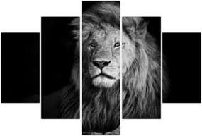 Tablou - Leu, alb și negru (150x105 cm)