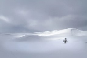 Tapet Snowy Hills, Rebel Walls