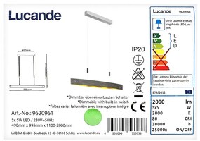 Lustră LED pe cablu dimabilă LIO 5xLED/5W/230V Lucande