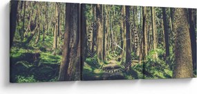 Tablou cu drum între copaci (cu ceas) (90x30 cm)