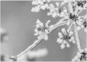 Tablou pe sticlă - Uzină congelată (70x50 cm)