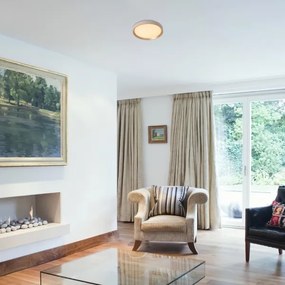 Plafonieră LED Rabalux 71185 LIATRIS LED/25W/230V 3000K d. 38 cm