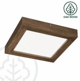 Plafonieră LED dimabilă Brilagi WOODY FRAME LED/24W/230V stejar 30x30 cm IP44 + telecomandă