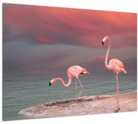 Tablou - Flamingo (70x50 cm)