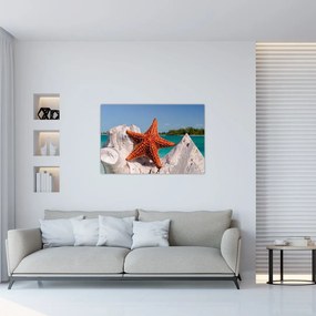 Tablou cu stea de mare (90x60 cm)