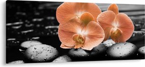 Tablou - Orhidee portocalii (120x50 cm)