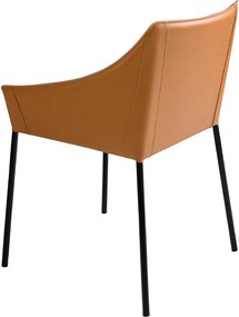 Scaun deosebit design LUX Brown