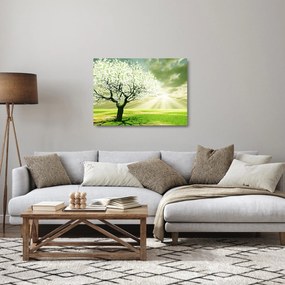 Tablou pe sticlă cu pomul înflorit (70x50 cm)
