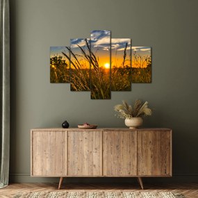 Tablou cu câmp în apus de soare (150x105 cm)