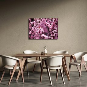 Tablou - Sakura roz (70x50 cm)