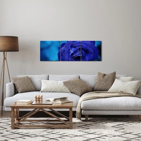 Tablou cu trandafir albastru (cu ceas) (90x30 cm)