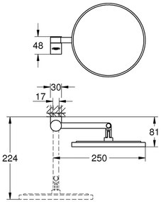 Grohe Selection Oglinda cosmetica O20 cm, antracit (hard graphite)
