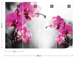 Pink Orchids Flowers Photo Wallpaper Wall Mural