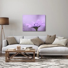 Tablou - Flori mov (70x50 cm)