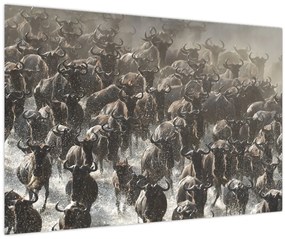 Tablou - Turmă de antilope sălbatice (90x60 cm)