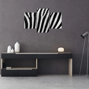 Tablou cu piele de zebră (90x60 cm)