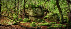 Tablou cu pădurea fermecată (120x50 cm)