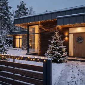BRILAGI - LED ghirlandă de Crăciun pentru exterior 1000xLED/8 funcții 105 m IP44 alb cald