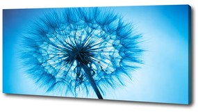 Print pe canvas Păpădie