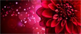 Tablou cu floare roșie (120x50 cm)