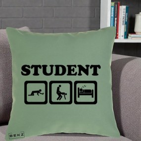Perna Decorativa Student Life, 40x40 cm, Verde, Husa Detasabila, Perna Inclusa, BEKZ®