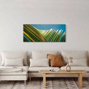 Tablou - Frunze de palmier (120x50 cm)