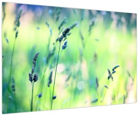 Tablou - Detaliu pajiște (90x60 cm)