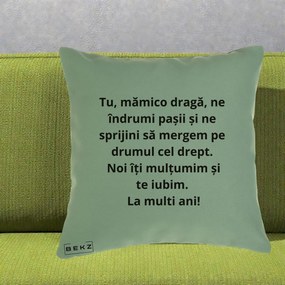 Cadou pentru Mama - Perna Personalizata Mamico Draga Te Iubim La Multi Ani cu Text Negru, 40x40 cm, Verde, Husa Detasabila, Perna Inclusa, BEKZ®
