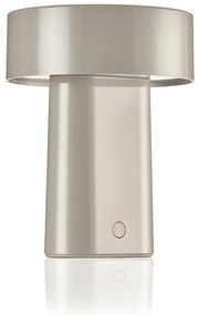 Veioză grej LED din plastic (înălțime 18 cm) Oblong – Zone