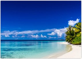 Tablou - Plaja tropicală (70x50 cm)