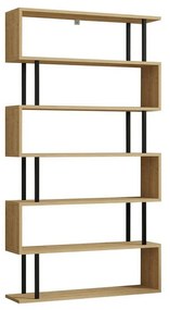 Bibliotecă Hector Sapphire