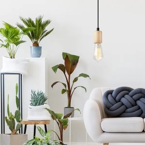 Candelabru pe cablu LEON 1xE27/60W/230V