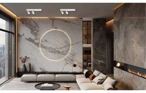 Spot LED MAGNET LED/5W/230V + 2xGU10/60W 3000/4000K alb