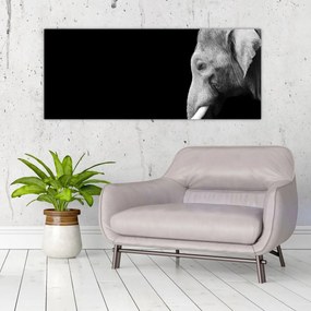 Tablou - Elefant (120x50 cm)