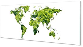 Tablouri acrilice Harta de iarbă verde