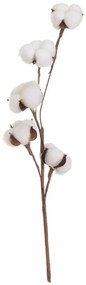 Plantă uscată (înălțime 55 cm) Cotton – Casa Selección