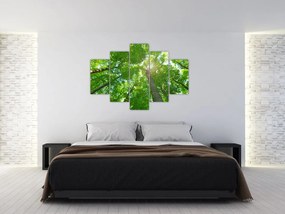 Tablou - Lunca (150x105 cm)