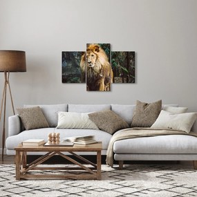 Tablou cu leu în natură (90x60 cm)