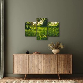 Tablou cu natura - lunca (90x60 cm)